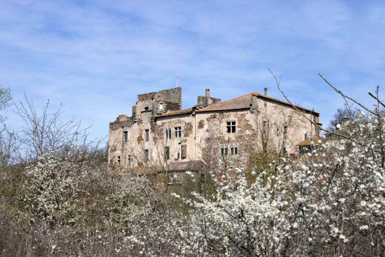 Chateau De Latour Sur Sorgue Marnhagues-et-Latour Exterior photo